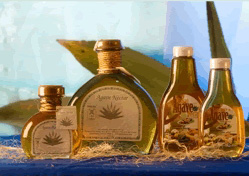 blue agave nectar