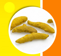 turmeric finger powder chillies coriander spices