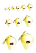 display shells