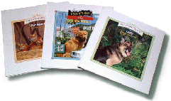 printing books catalogues brochures paper shopping bags china