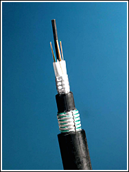 buried fiber optic cable