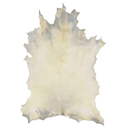 goat lamp skin wet blue