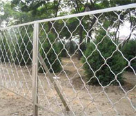 chain link fence