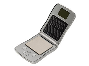 gs scale