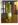 sunflower oil