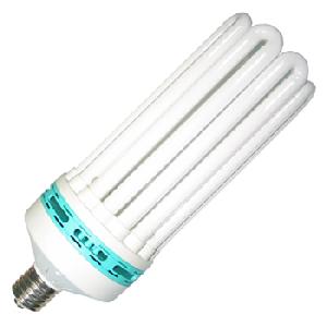 Fluorescent Lamps