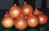 onion potatoes red chillies coriander seeds turmeric cashew iorn ore bauxite bentonite