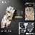 Offer 2007 Genuine Designer Necktie Gucci Lv Burberry Armani Celine Hermes Versace