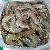 Froen Vannamei Shrimp Raw / Cooked Products Hoso,hlso,pd,pdt Froen Vannamei Shrimp Raw / Cooked Products Hoso,hlso,pd,pdt