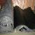 Sell Rubber (made To Order) - Spare For Machine / Automobile-wheel Casters-reclaimed Rubber