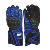 Motorbick Gloves