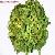 Sell Senna Leaves, Dry Rose Flowers, Henna Powder, Turmeric, Dry Ginger, Dry Chillies, Nutmeg Etc