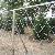 Chain Link Fence