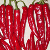 Onion, Potatoes, Red Chillies, Coriander Seeds, Turmeric, Cashew, Iorn Ore, Bauxite, Bentonite,