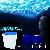Relaxing Ocean Projector Pot