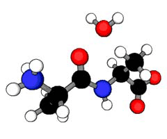 Good Price For Nutritional Supplememnts , Herbal Extracts And Amino Acids.