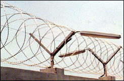 razor barbed wire