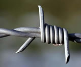 barbed iron wire