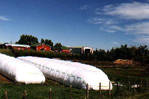 agricultural film greenhouse