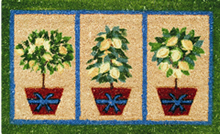 doormats rugs