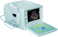 portable ultrasound scanner laptop veterinary