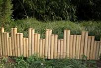 bamboo border edging rolled fence post rail fences