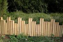 Bamboo Border Edging Bamboo Low Rolled Fence And Bamboo Post And Rail Fences