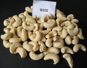 Cashew Nut Kernel