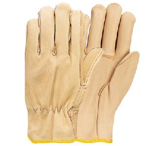 Working Gloves Joint Venture