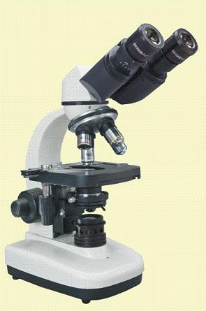 Binocular Microscope