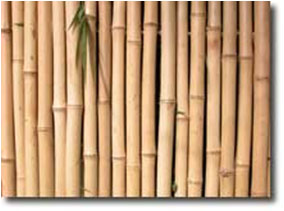 Rolled Bamboo Fencing