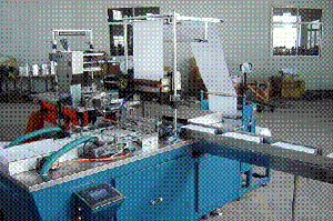 Pd 210 Bopp A4 Photo Copy Paper Ream Wrapping Machine