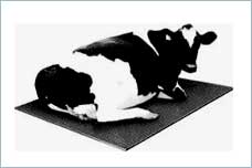 rubber cow mat