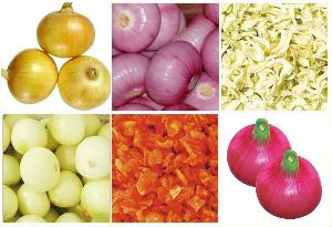 Red Onion Yellow Onion White Onion