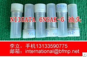 Undersell Inventory Niigata 6m34x Oil Injection Nozzle Dlf125t488a, 6pcs