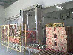 Case Palletizer