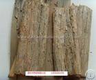 Plant / Herbal Extract / Yew Bark P E / Yew Bark Extract