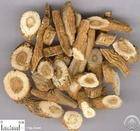 Plant / Herbal Extract / Radix Isatidis P E / Radix Isatidis Extract