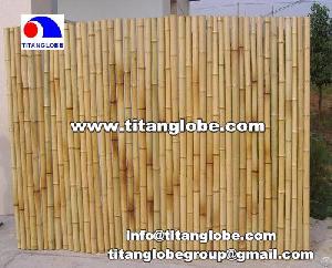 Bamboo Fence