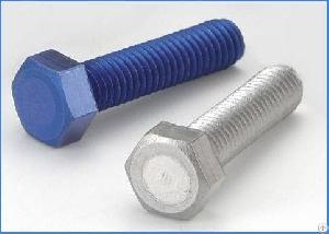 Titanium Screw