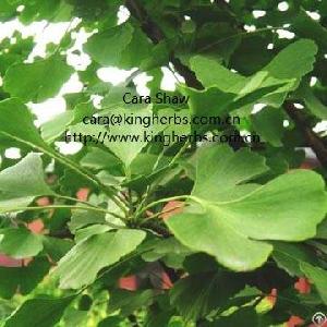 Ginkgo Biloba Leaf Extract