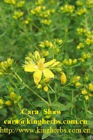 Hypericum Perforatum L Extract