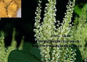 polygonum cuspidatum extract resveratrol