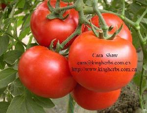 Tomato Extract