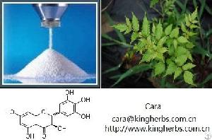 Vine Tea Extract-dihydromyricetin