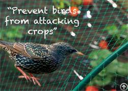 anti bird netting