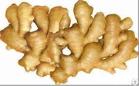 Organic Certified Ginger Powder