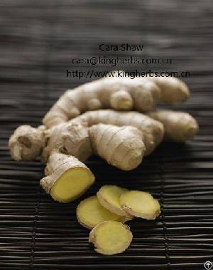 Ginger Extract