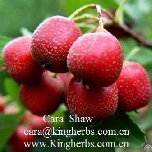 hawthorn leaf extract