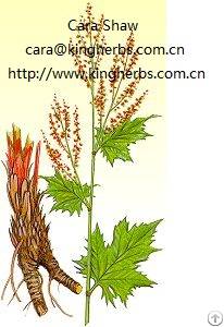 Rheum Extract